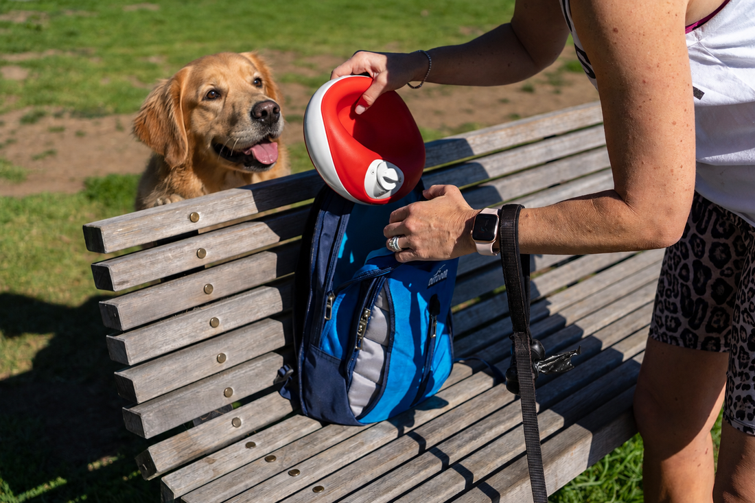 Lockable Dog Water Bowl for Cleaner Travel