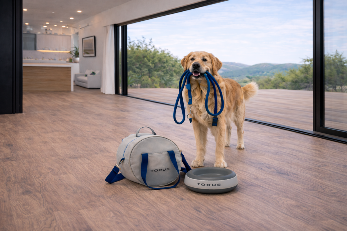 How Much Water Should a Dog Drink Daily? (Guide 2026)