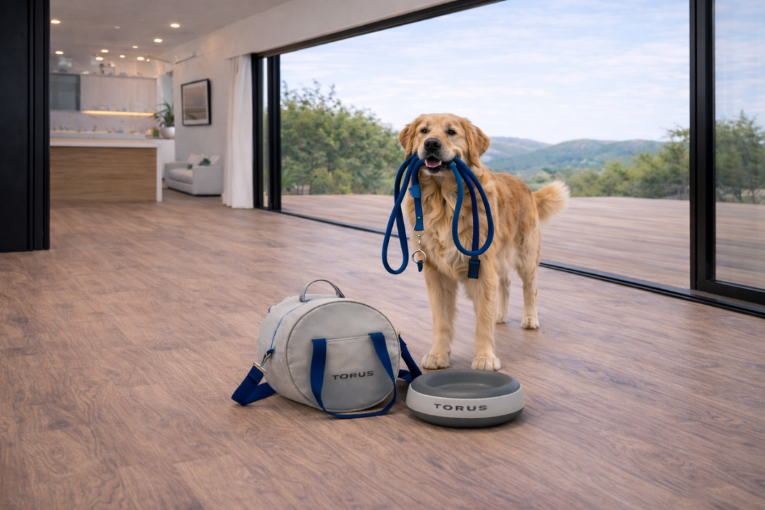 How Much Water Should a Dog Drink Daily? (Guide 2026)