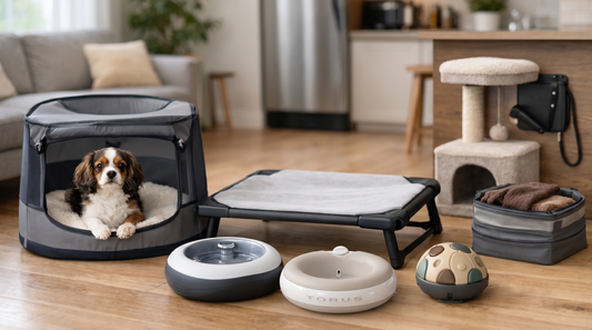 9 Best Dog Gear Items for Apartments That Saves Space