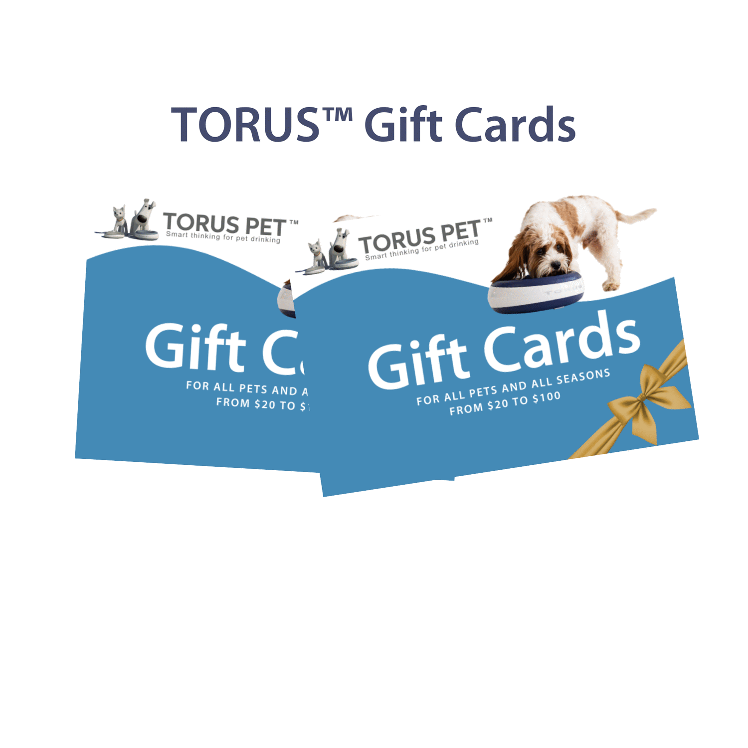 TORUS PET™ Gift Cards