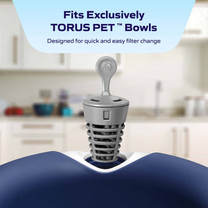 Standard Filter (6 pack)