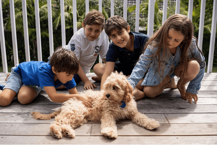 Family with dog on a deck