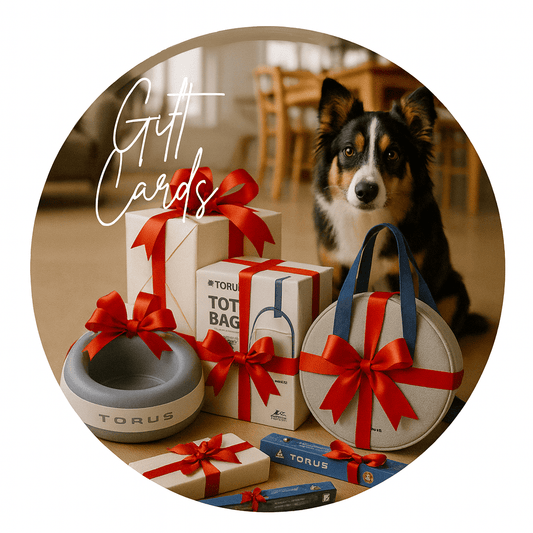 Gift cards & presents, photo Dec 2025, with dog.