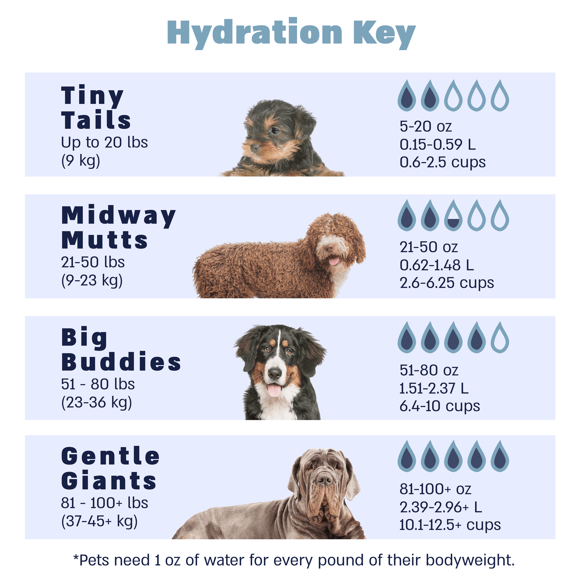 water needs by size