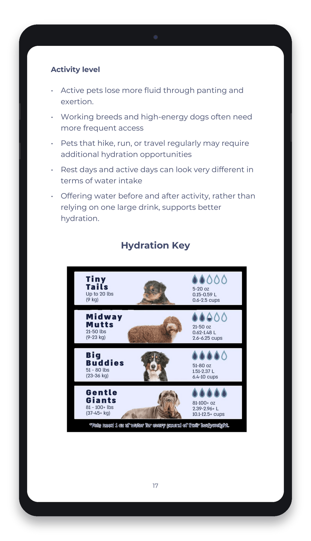 Everyday Guide to Pet Hydration - Vet-Informed Digital Guide