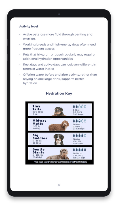 Everyday Guide to Pet Hydration - Vet-Informed Digital Guide
