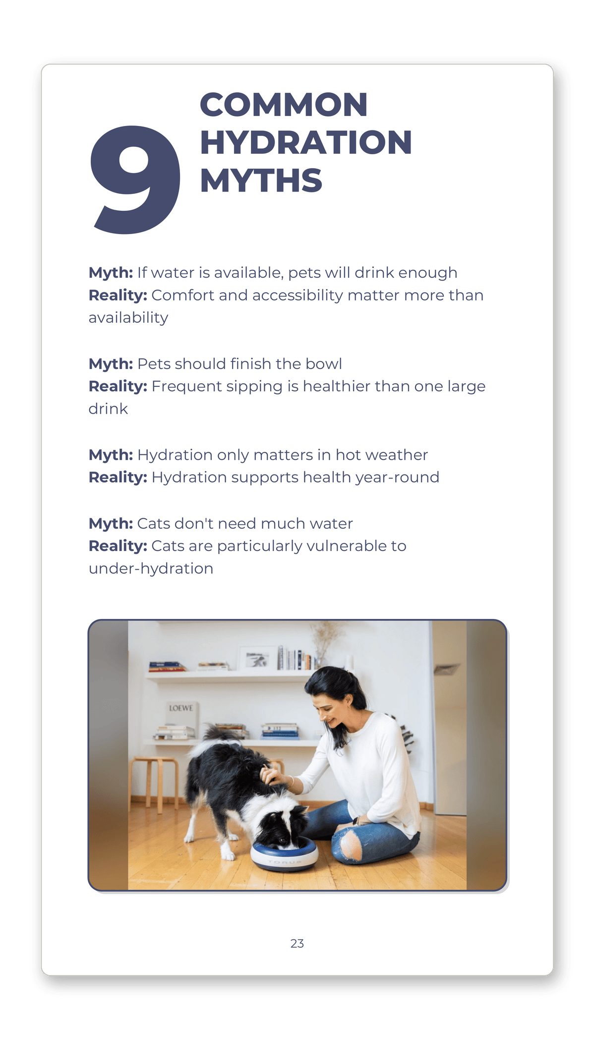 Everyday Guide to Pet Hydration - Vet-Informed Digital Guide