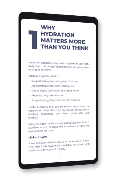 Everyday Guide to Pet Hydration - Vet-Informed Digital Guide
