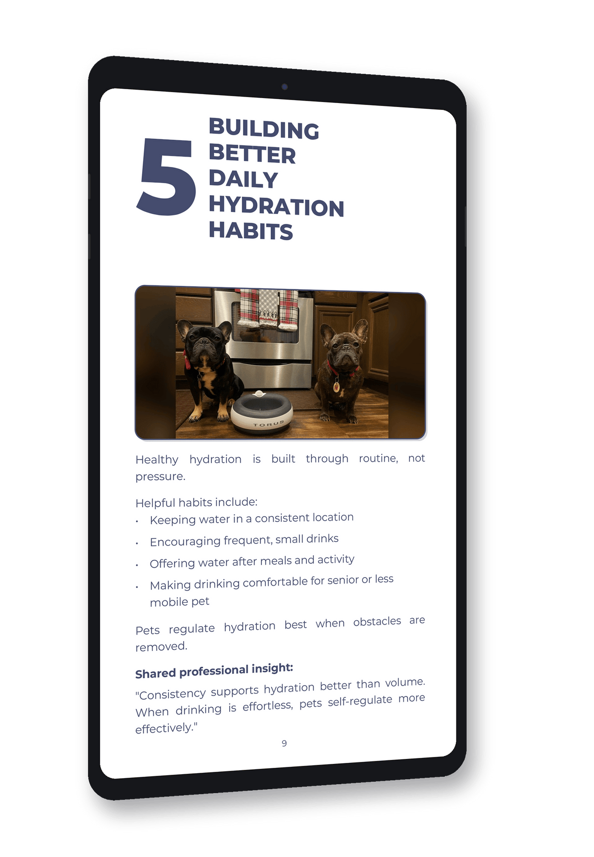 Everyday Guide to Pet Hydration - Vet-Informed Digital Guide