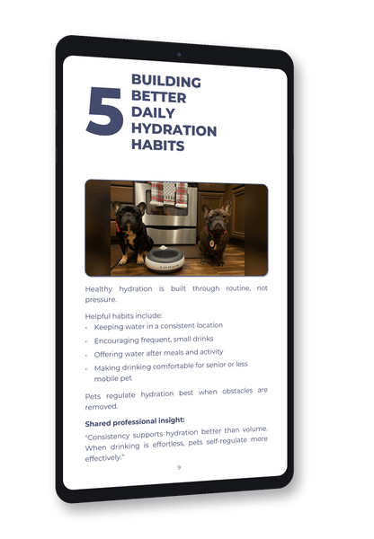 Everyday Guide to Pet Hydration - Vet-Informed Digital Guide