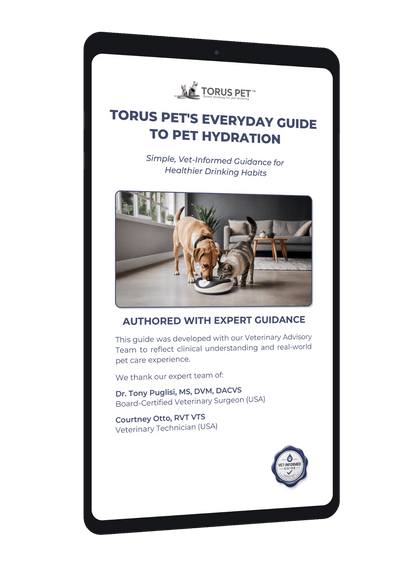 Everyday Guide to Pet Hydration - Vet-Informed Digital Guide