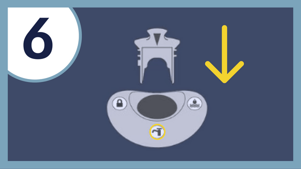 Step 6