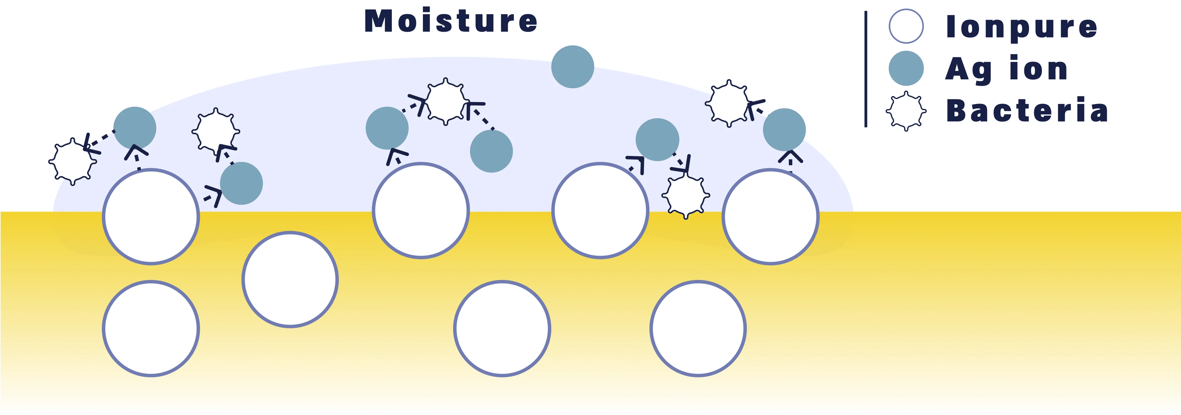 Science of Ag ion and bacteria interaction with moisture.