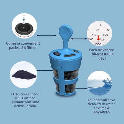 TORUS PET™ Advanced Filter Replacement Pack (6) - Torus Pet